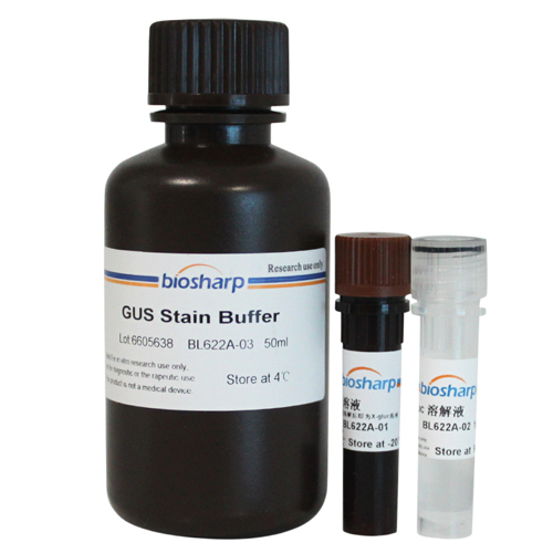GUS染色试剂盒 biosharp实验室专用